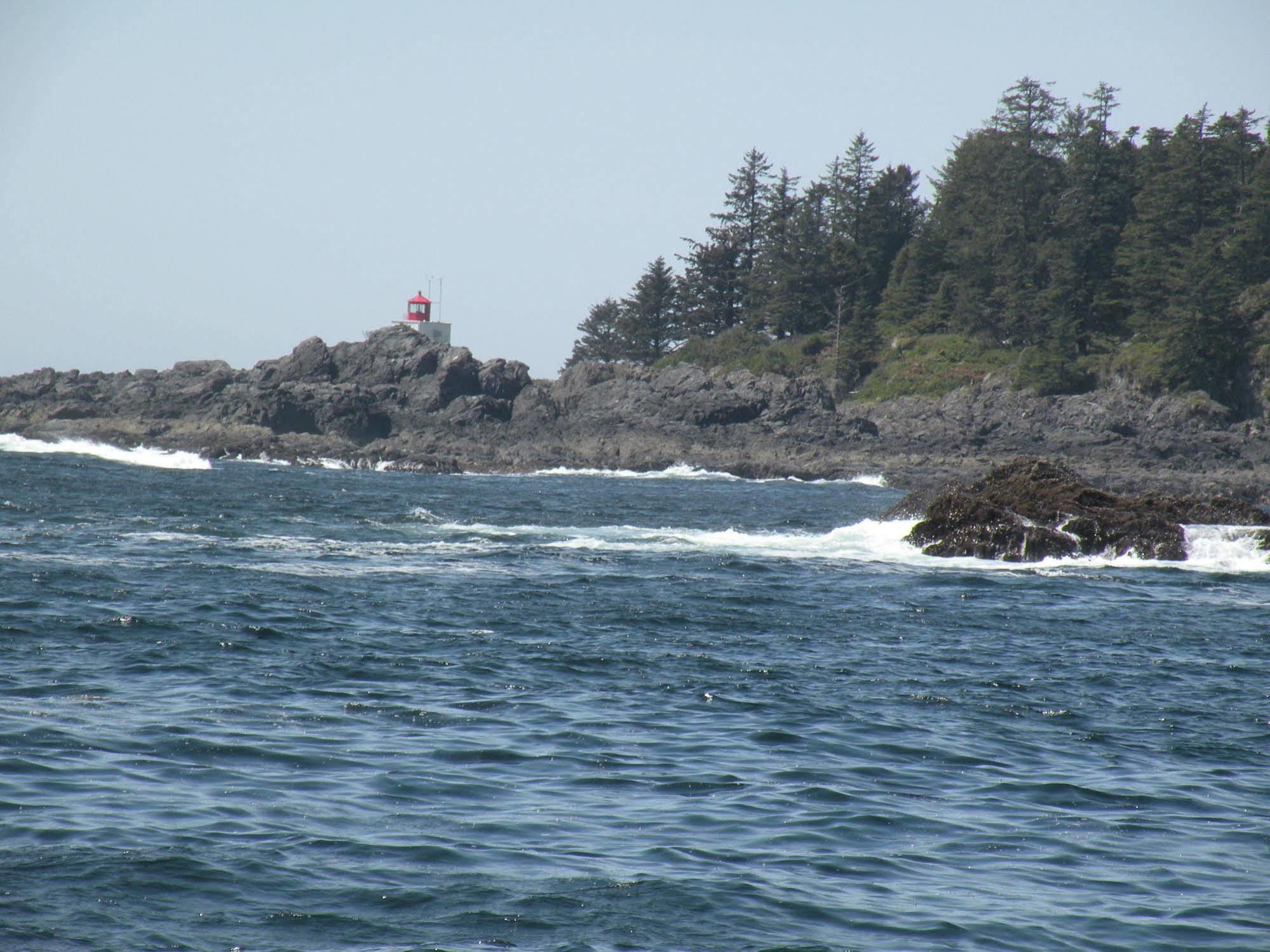 Pacific Drift Inn Ucluelet Kültér fotó