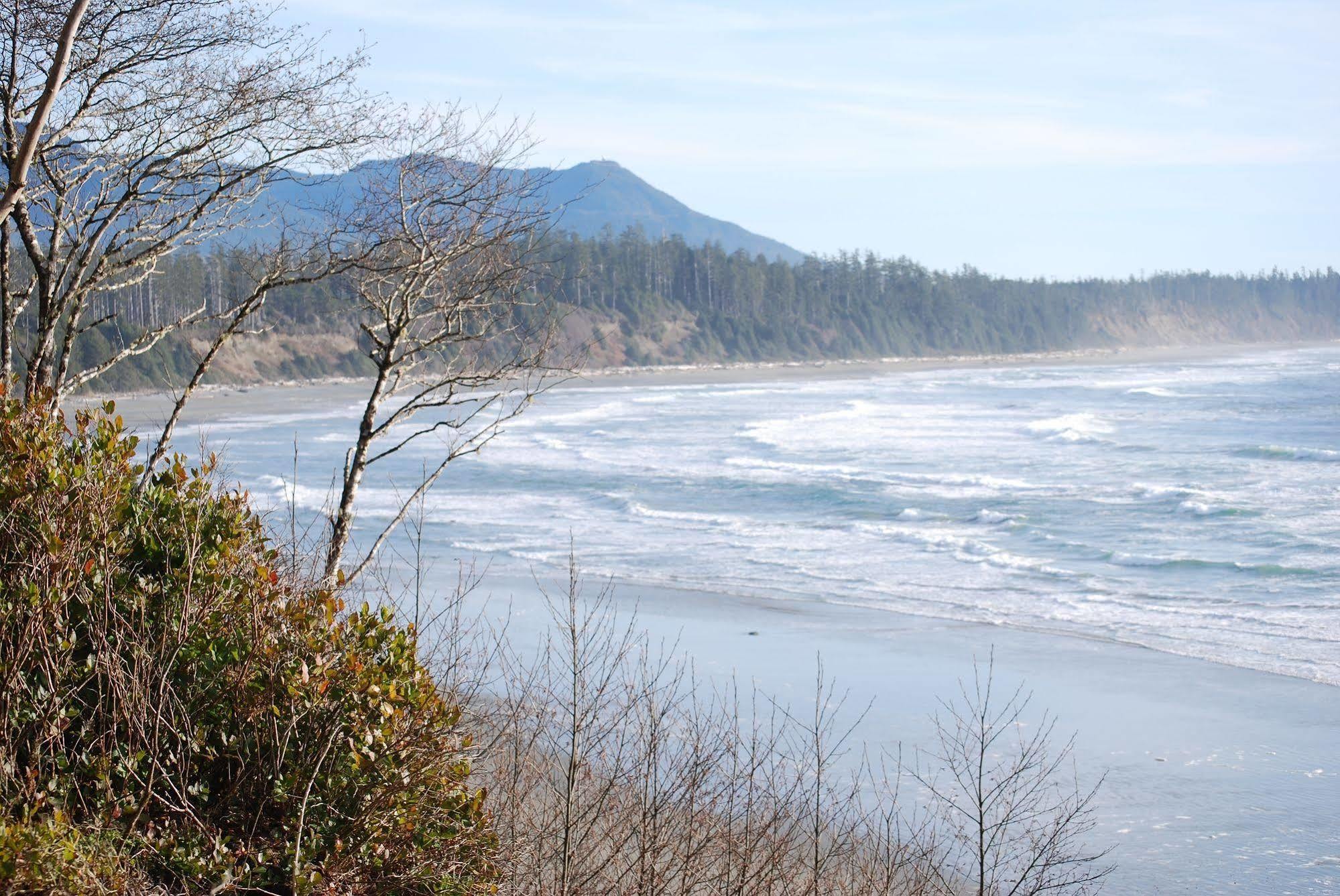 Pacific Drift Inn Ucluelet Kültér fotó